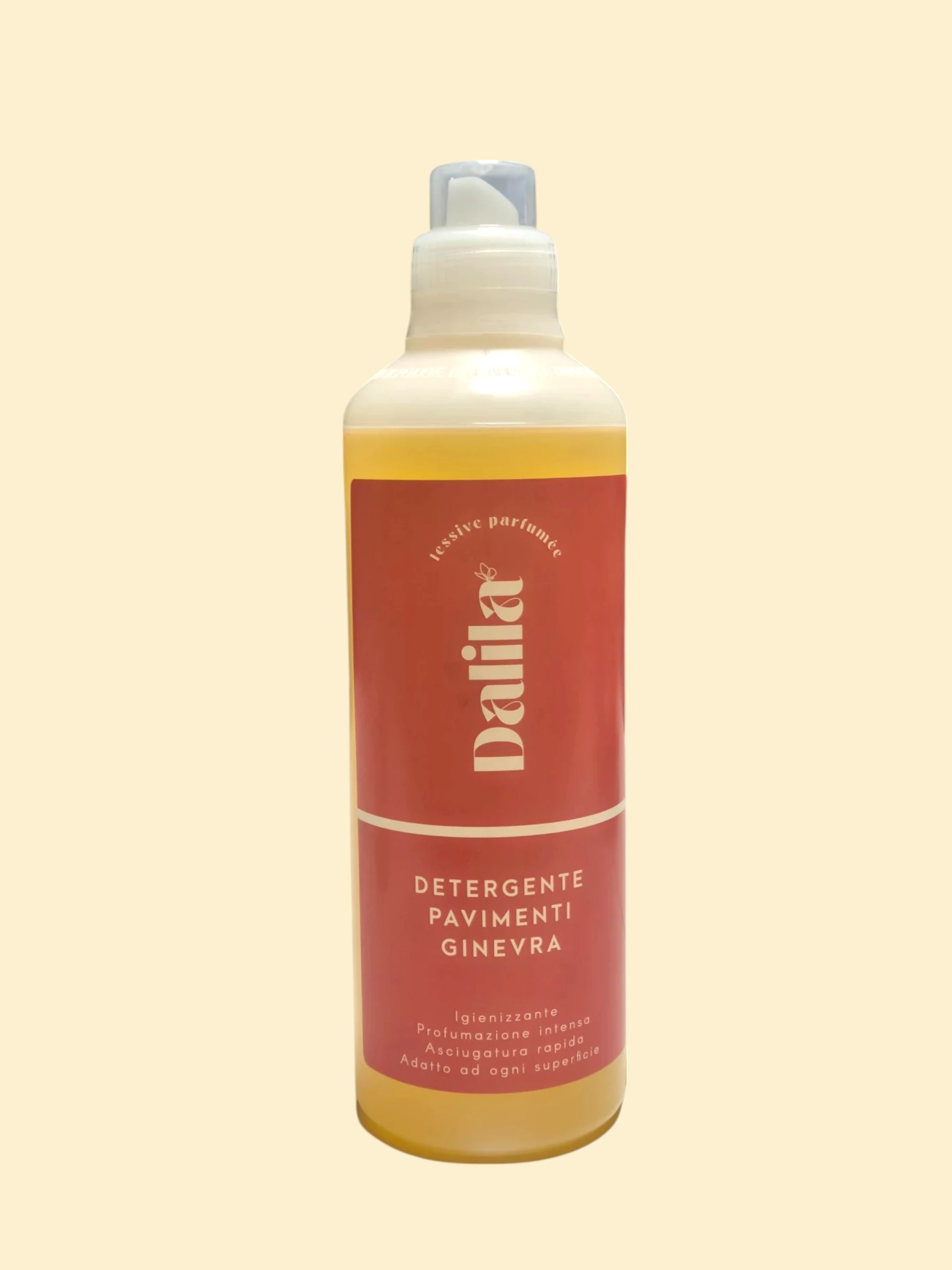 Lavapavimenti Sale e Ginevra