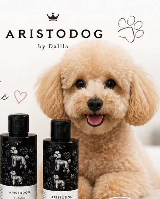 Aristodog by Dalila